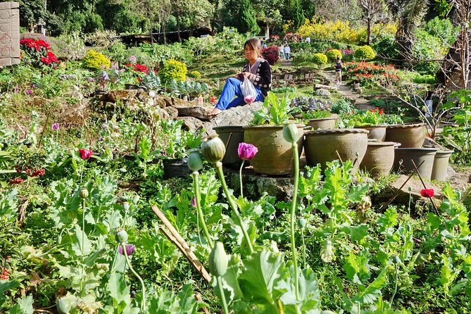 Doi Suthep and Hmong Hilltribe Half Day Tour in Chiang Mai - Shops, flowers, and the limits of the village visit