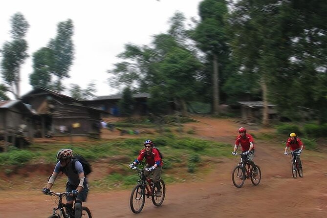 Doi Suthep National Park To Chiang Mai Beginner Downhill Mountain Biking - Who should book this ride