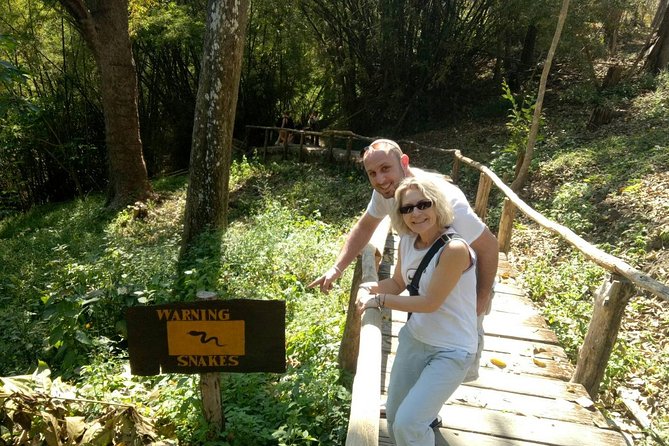 Doi Suthep Temple and Bau Thong Waterfalls Private Tour - Should You Book the Doi Suthep and Bua Thong Tour?