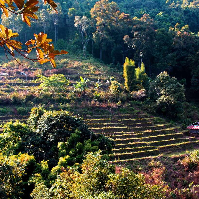 Eco-Friendly: Doi Inthanon & Pha Dok Siew Trekking Day Trip - Key points to know before booking