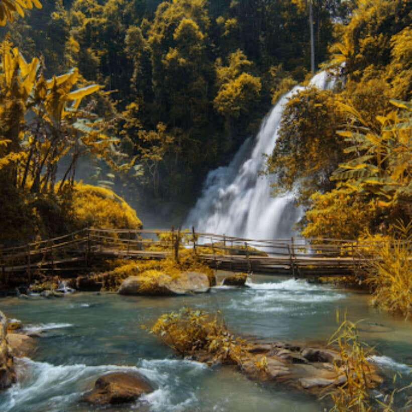 Eco-Friendly: Doi Inthanon & Pha Dok Siew Trekking Day Trip - Why Doi Inthanon makes a good day trip from Chiang Mai