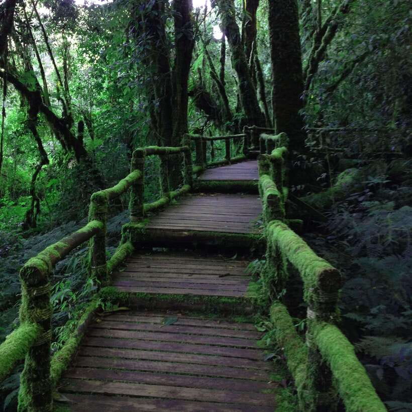Eco-Friendly: Doi Inthanon & Pha Dok Siew Trekking Day Trip - Lunch and the White Karen village at Mae Klang Luang
