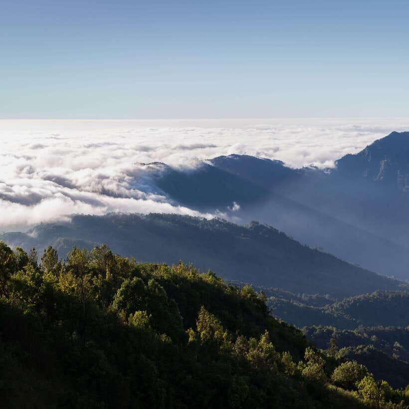 Eco-Friendly: Doi Inthanon & Pha Dok Siew Trekking Day Trip - How the small group and transport shape the day