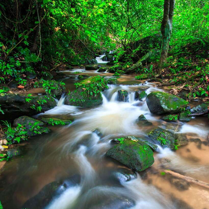 Eco-Friendly: Doi Inthanon & Pha Dok Siew Trekking Day Trip - Starting at Thailand’s highest spot
