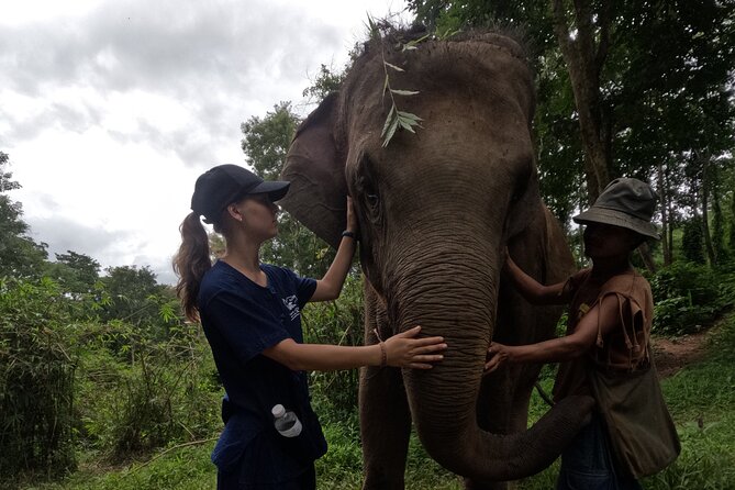 Elephant care program at CHIANGMAI ELEPHANT CARE - Water activities are not guaranteed