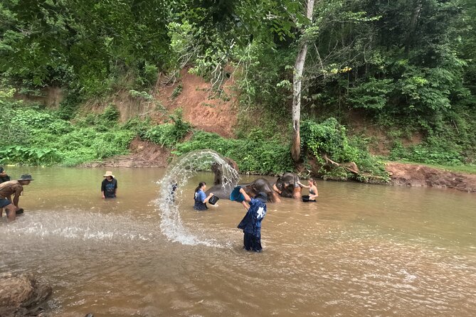 Elephant care program at CHIANGMAI ELEPHANT CARE - The morning pickup and countryside drive