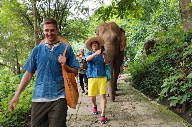 Elephant Experience and Hidden Jungle Waterfall Chiang Mai - How this compares with a larger elephant attraction