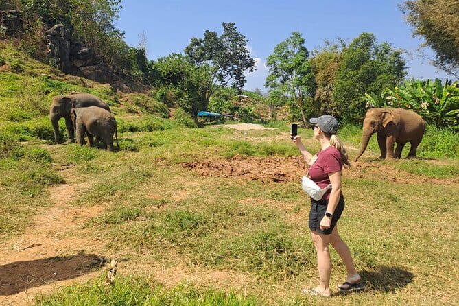 Elephant Sanctuary, Wat Ban Den & Sticky Waterfall - What to know before you book