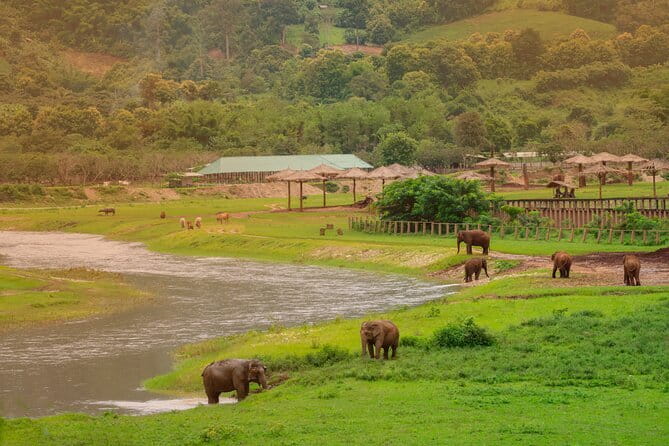 Elephant Sanctuary + Waterfall + Bamboo Rafting One Day Trip - Cooling off at a 20-meter Mae Wang Waterfall
