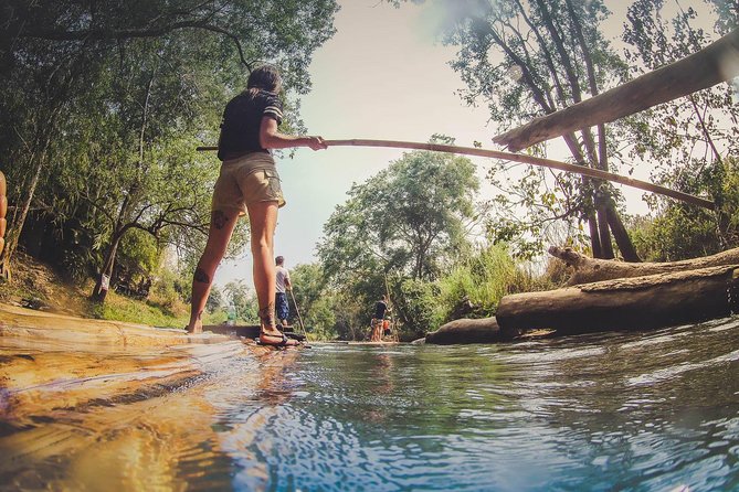 Elephant Sightings , Bamboo Rafting Through The Jungle, Swimming In a Waterfall - Three Chiang Mai jungle stops in one day