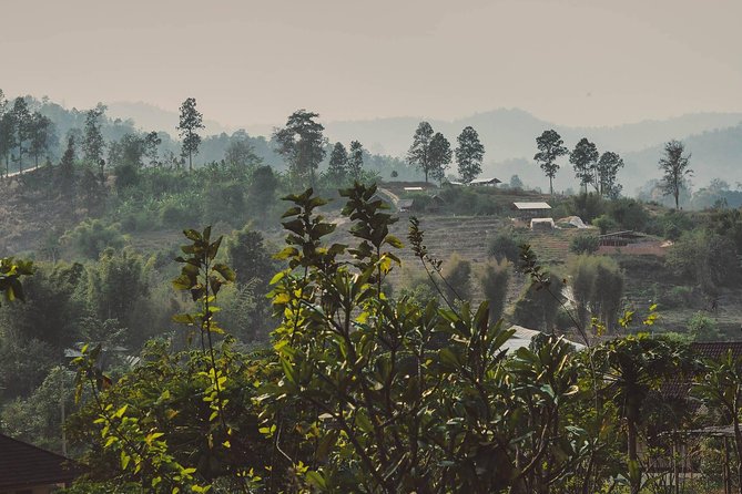 Elephant Sightings , Bamboo Rafting Through The Jungle, Swimming In a Waterfall - Watching elephants in a forest setting