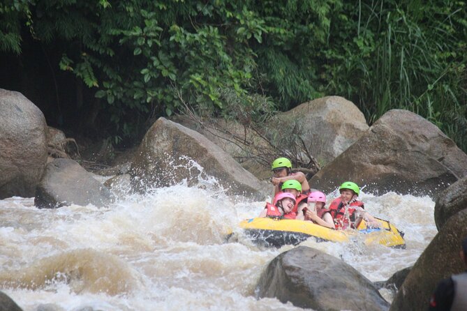 Ethical Elephant Visit and White Water Rafting in Chiang Mai - Meeting the elephants at E-co Adventure Camp