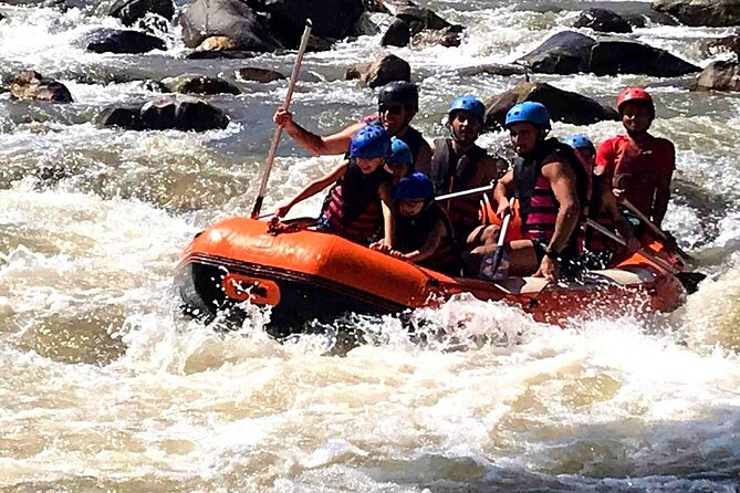 Ethical Elephant Visit and White Water Rafting in Chiang Mai - What $58.67 includes in practical terms