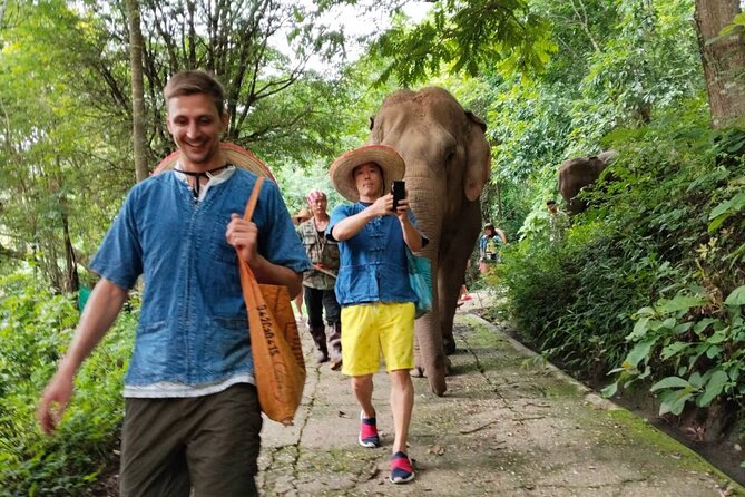 Ethical Elephant Visit and White Water Rafting in Chiang Mai - Who will enjoy this six-hour outing