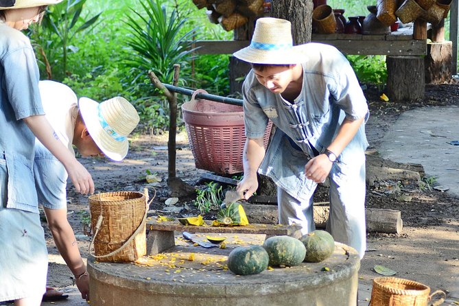 Experience Elephant Sanctuary + Sticky Waterfall - Feeding and bathing beside the river