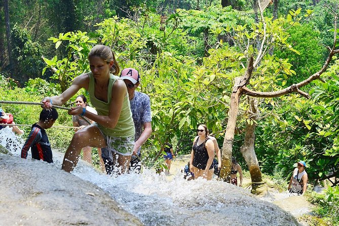 Experience Elephant Sanctuary + Sticky Waterfall - Who will enjoy this outing most