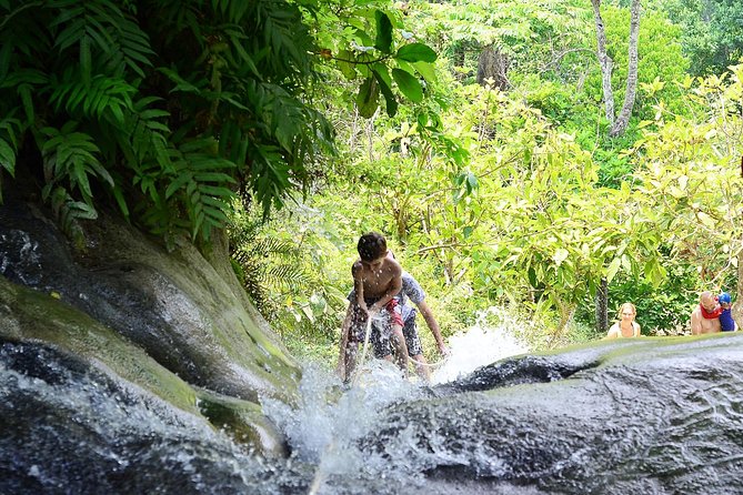 Experience Elephant Sanctuary + Sticky Waterfall - Practical advice before you go