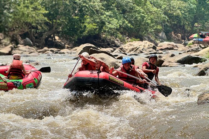 Explore All Day – Private Van & English-Speaking Guide/Driver - Waterfalls, caves, and mountain air