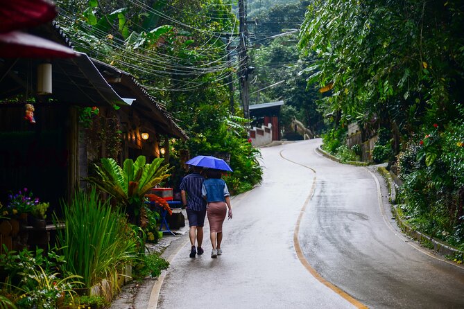 Explore Mae Kampong Village from Chiang Mai City - Mae Kampong Waterfall, one hour among trees and moving water