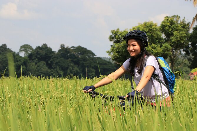 FIELDS OF GOLD Mountain Biking Tour Chiang Mai - Why this ride reaches beyond Chiang Mai