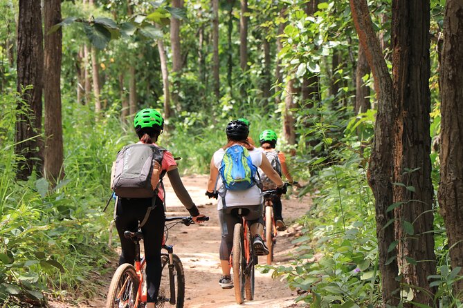 FIELDS OF GOLD Mountain Biking Tour Chiang Mai - From farms and rice fields to local food
