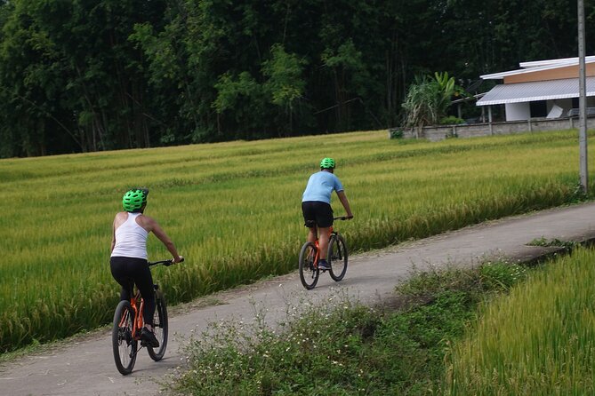 FIELDS OF GOLD Mountain Biking Tour Chiang Mai - What the $66.63 price covers