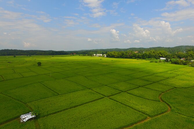 FIELDS OF GOLD Mountain Biking Tour Chiang Mai - Riding a Kona Blast with full protective gear