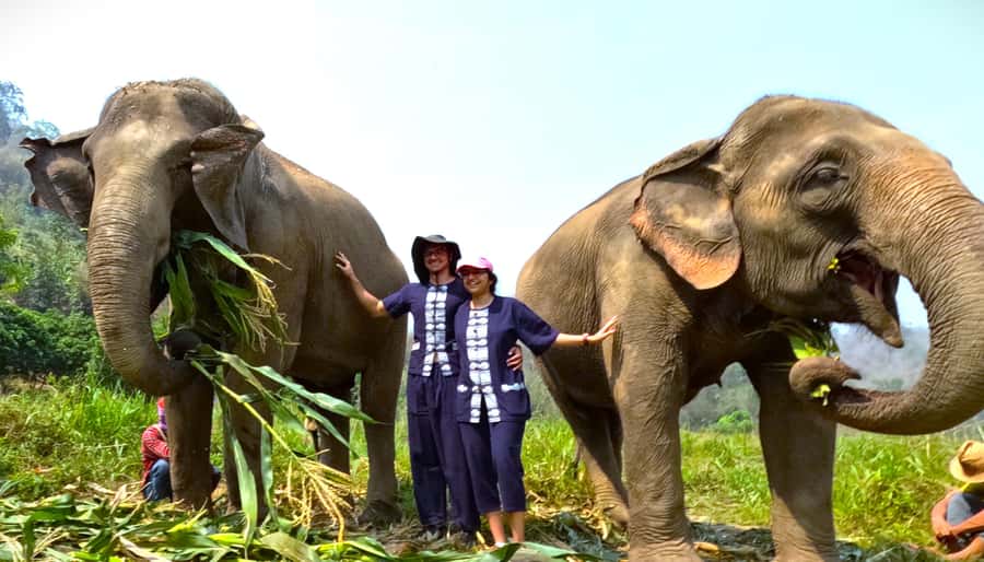 From Chiang Mai: Chiang Mai Elephant Care Morning Program - Leaving Chiang Mai for the Maeteang area