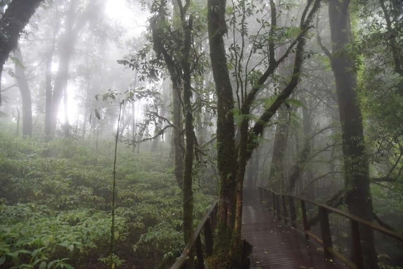 From Chiang Mai: Doi Inthanon National Park Day Trip - Reaching the 2,565-meter summit