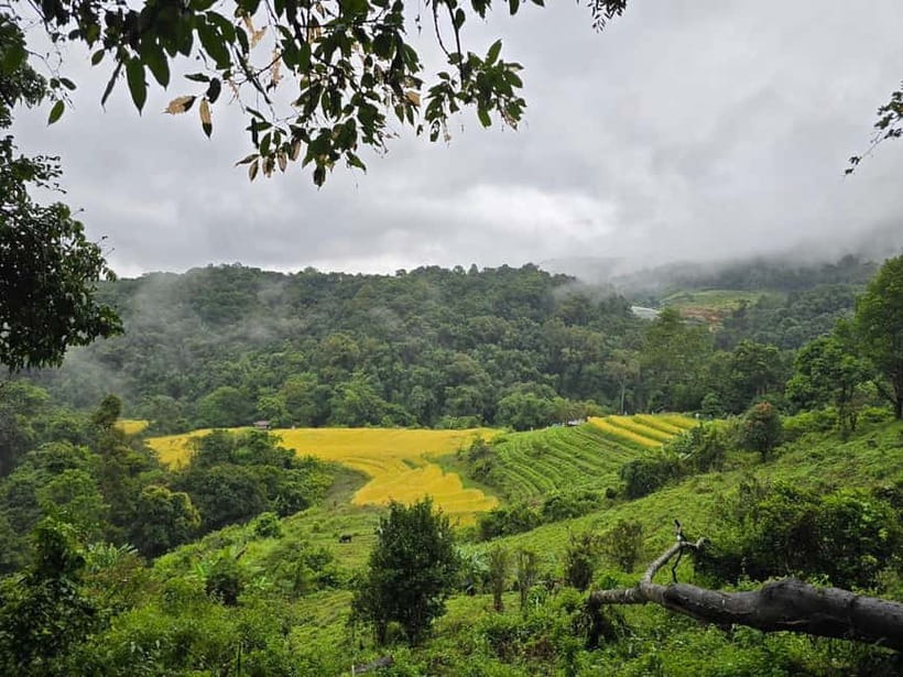 From Chiang Mai: Doi Inthanon National Park Day Trip - What the van day is really like