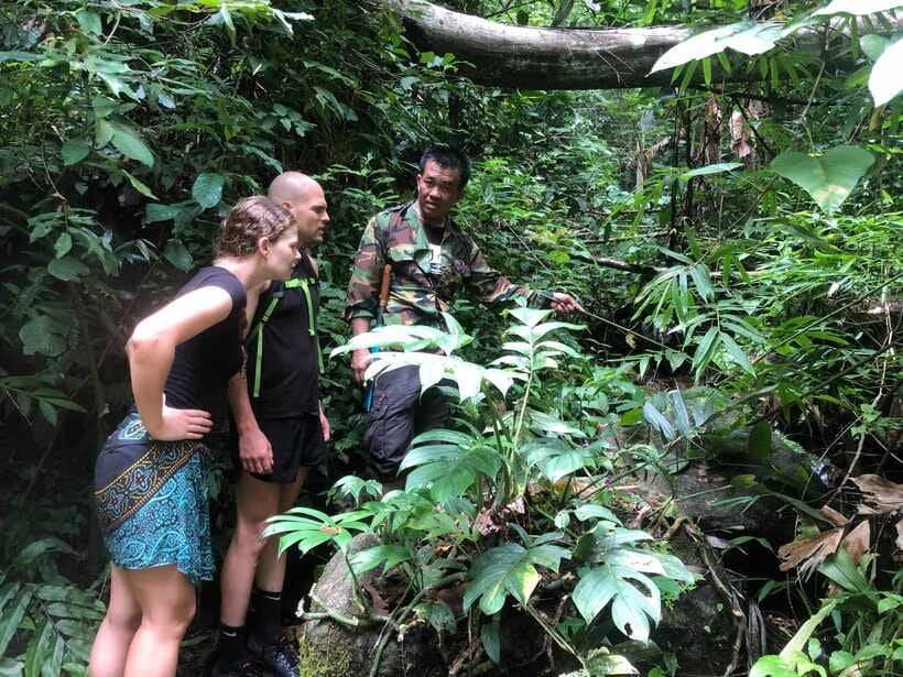 From Chiang Mai: Doi Saket Hiking Tour with Lunch - Key points to know before booking
