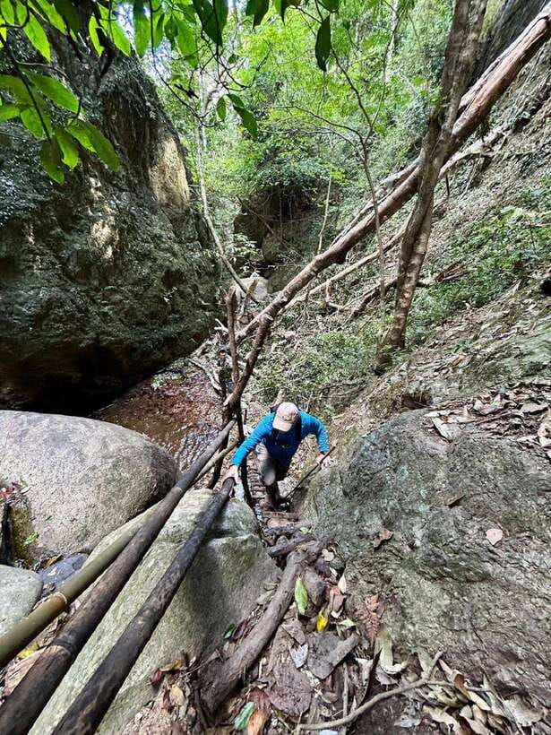 From Chiang Mai: Doi Saket Hiking Tour with Lunch - What the $57 price really covers
