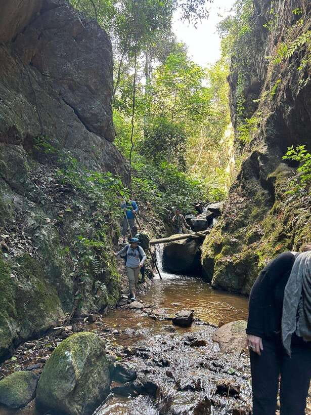 From Chiang Mai: Doi Saket Hiking Tour with Lunch - A cold shower under a secluded waterfall