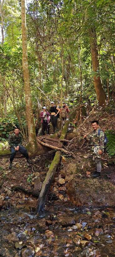 From Chiang Mai: Doi Saket Hiking Tour with Lunch - The return route through bamboo and fruit trees