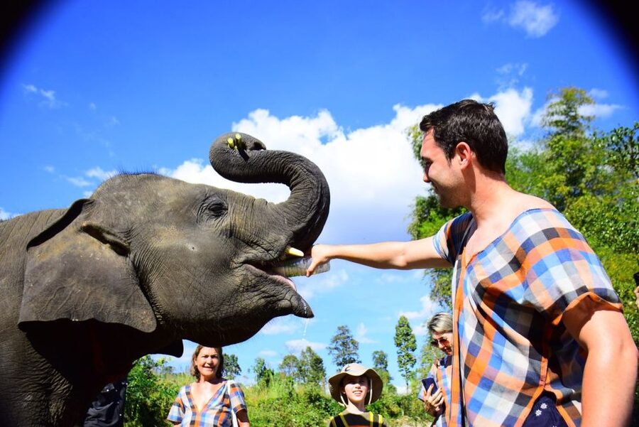 From Chiang Mai: Elephant Care Program and Nursery Tour - Key points to know before booking