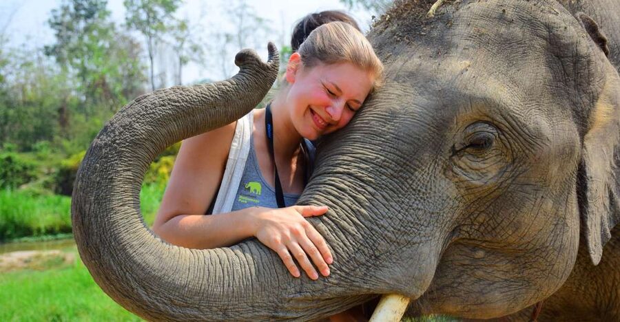 From Chiang Mai: Elephant Care Program and Nursery Tour - A half-day with rescued elephants near Mae Tang
