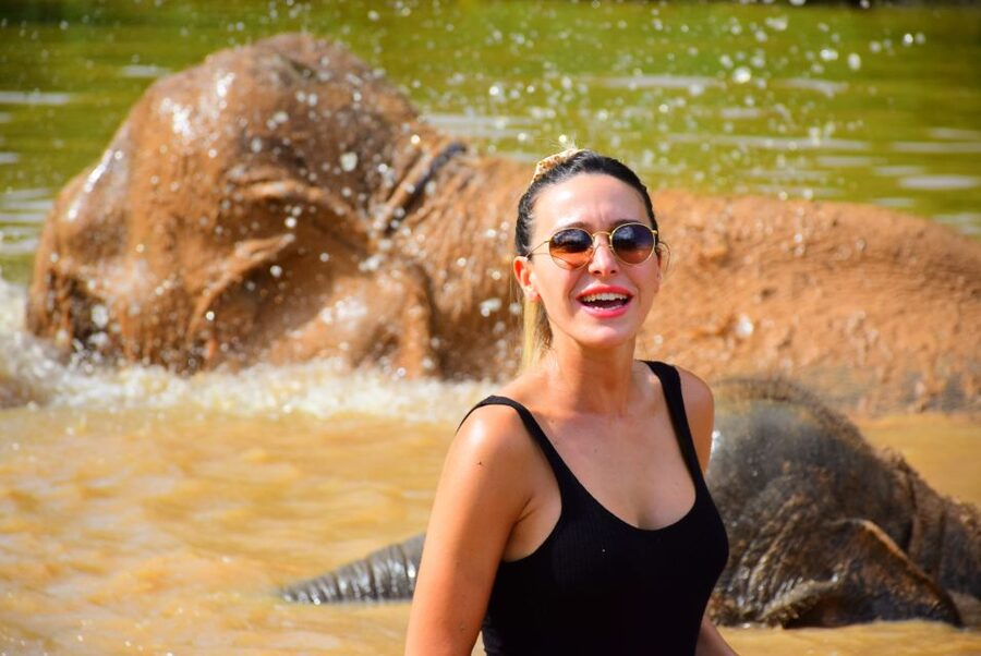 From Chiang Mai: Elephant Care Program and Nursery Tour - Following the elephants to the mud and sand spa