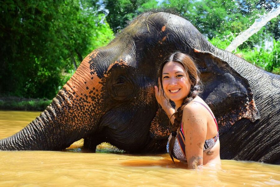 From Chiang Mai: Elephant Care Program and Nursery Tour - Shower, lunch, and the ride home