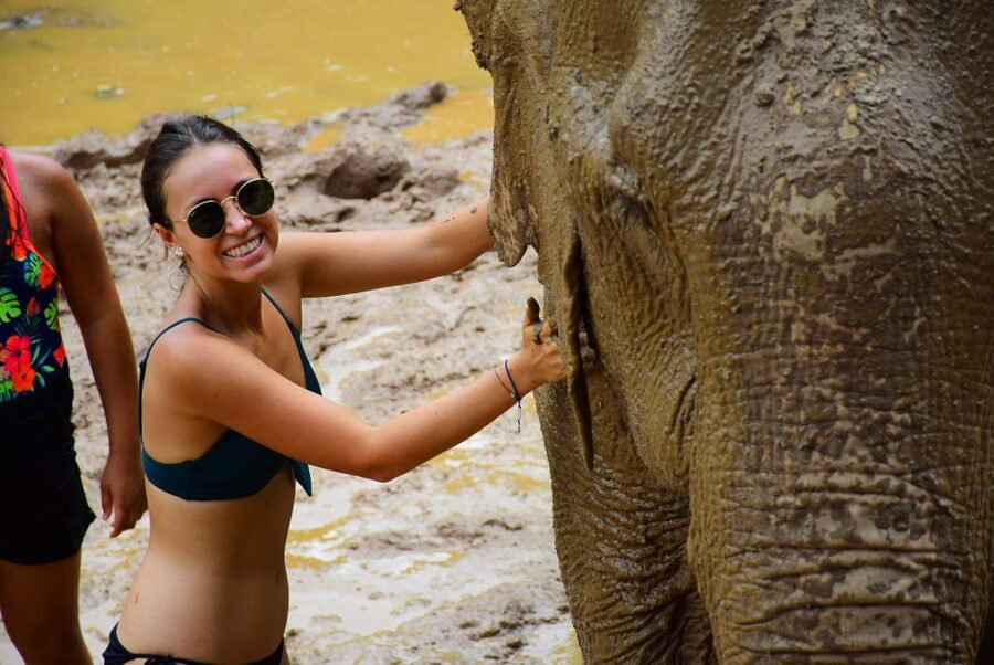 From Chiang Mai: Elephant Care Program and Nursery Tour - Price, timing, and who will enjoy it most