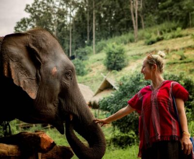 Kerchor Eco Elephant Park Tour
