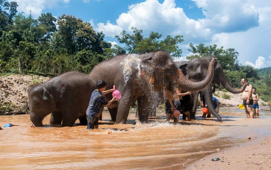 From Chiang Mai: Kerchor Eco Elephant Park Tour - How the $48 price works out