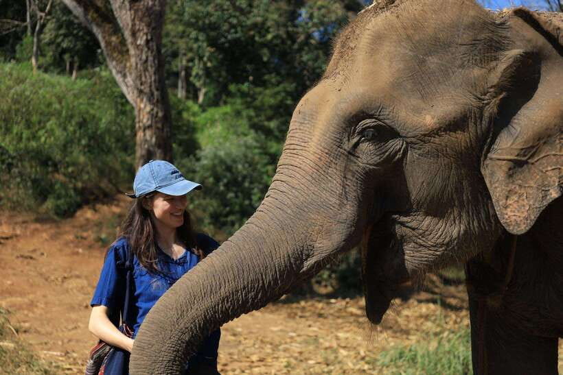 From Chiang Mai: Living Green Elephant Sanctuary Tour - Key points to know before you book