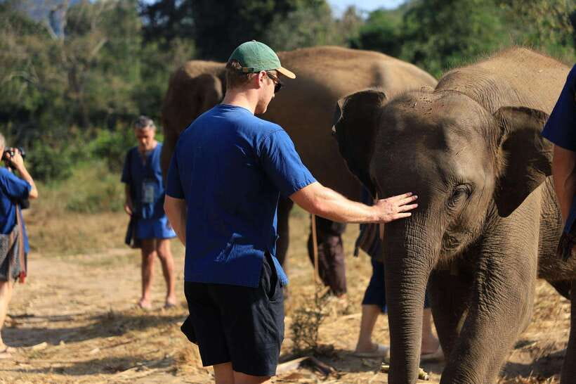 From Chiang Mai: Living Green Elephant Sanctuary Tour - Forest walks and the river