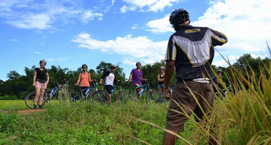 From Chiang Mai: Mae Taeng Valley and Waterfalls Cycle Tour - A Thai lunch in a tropical garden