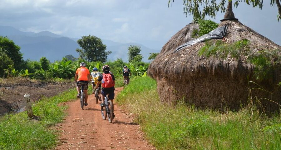 From Chiang Mai: Mae Taeng Valley and Waterfalls Cycle Tour - Who should book the Mae Taeng cycling tour?