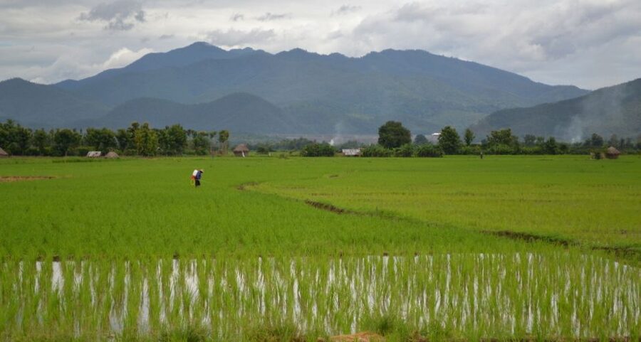 From Chiang Mai: Mae Taeng Valley and Waterfalls Cycle Tour - Should you book it?