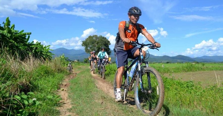 From Chiang Mai: Mae Taeng Valley and Waterfalls Cycle Tour - Riding through rice fields, farms, and village roads