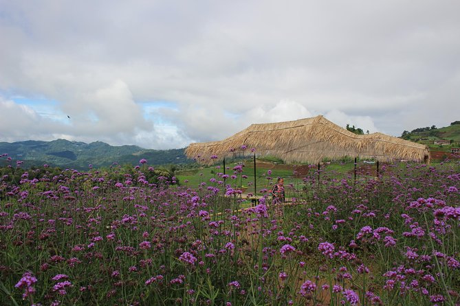 Fruiful Oneday! Trip outskirt of a City from end to end - Five details that shape your day