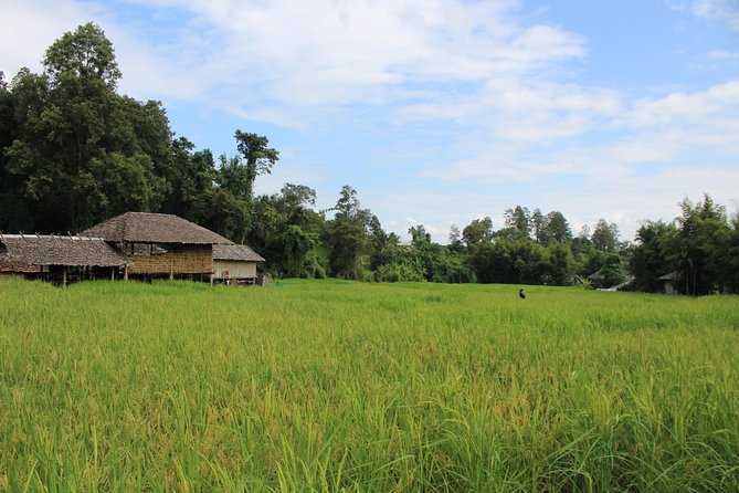 Fruiful Oneday! Trip outskirt of a City from end to end - Queen Sirikit Botanic Garden: start among the plants
