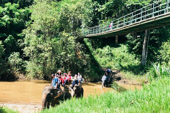 Full Day Car Hire with an English Speaking Driver in Chiang Mai - The driver makes or breaks the day